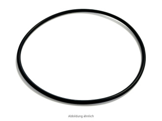 O-Ring für Profeta S100