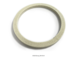 Filzring für Profeta S100