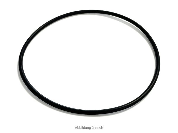 O-Ring für Profeta S100