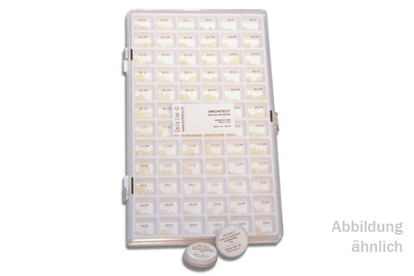 Architect Wax-Up Assistant white Posterior Set